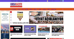 Desktop Screenshot of ordugazete.com