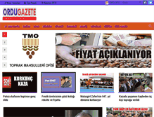 Tablet Screenshot of ordugazete.com